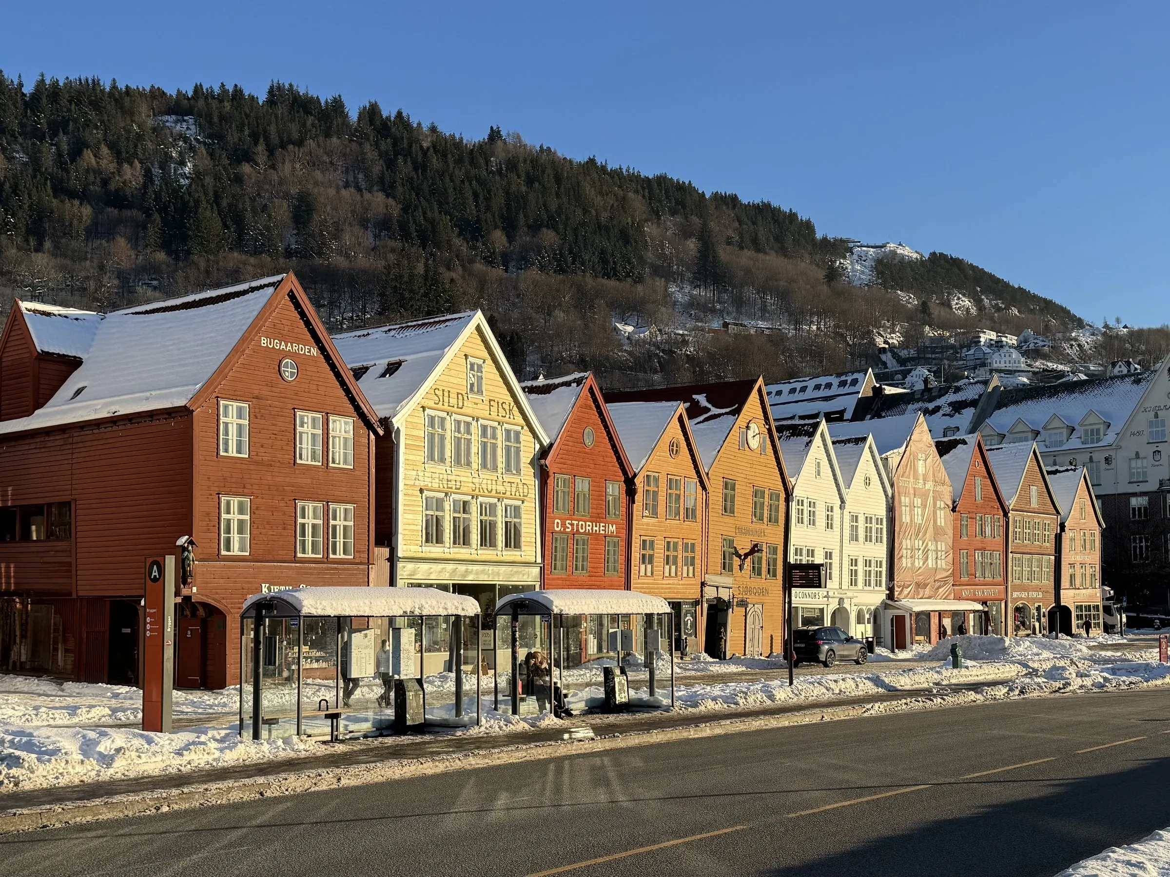 The wooden Hanseatic houses of Bryggen in red, yellow, orange and white, with snow on their roofs and bus shelters in front, below a wooded mountainside under a clear blue winter sky